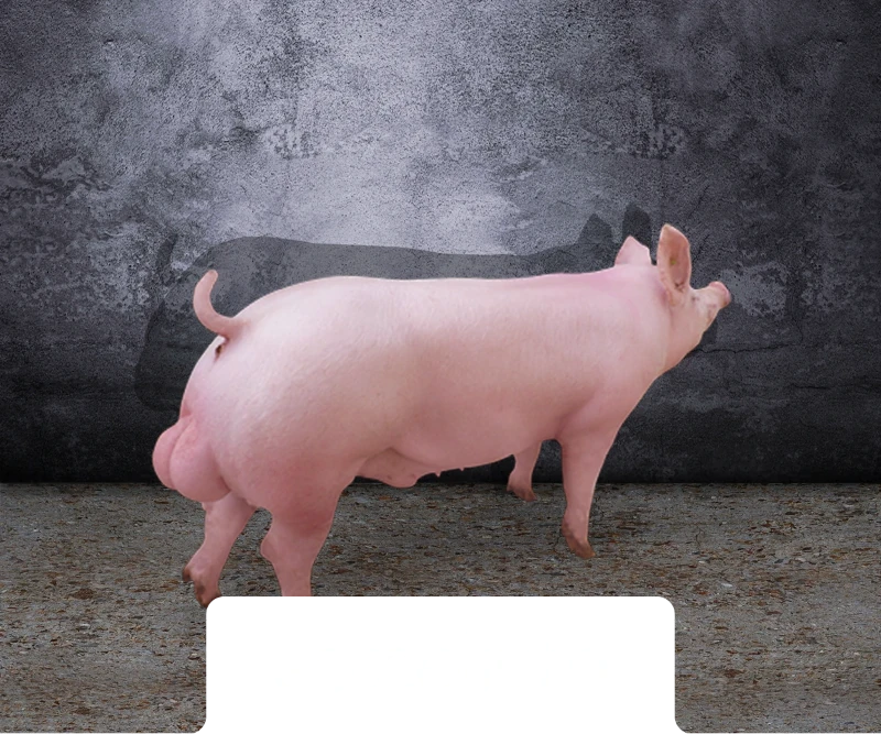 Excelium Axiom