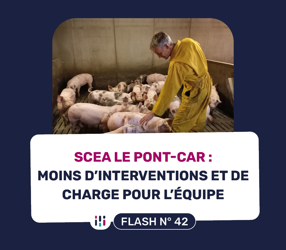 Photo dans l'élevage de 