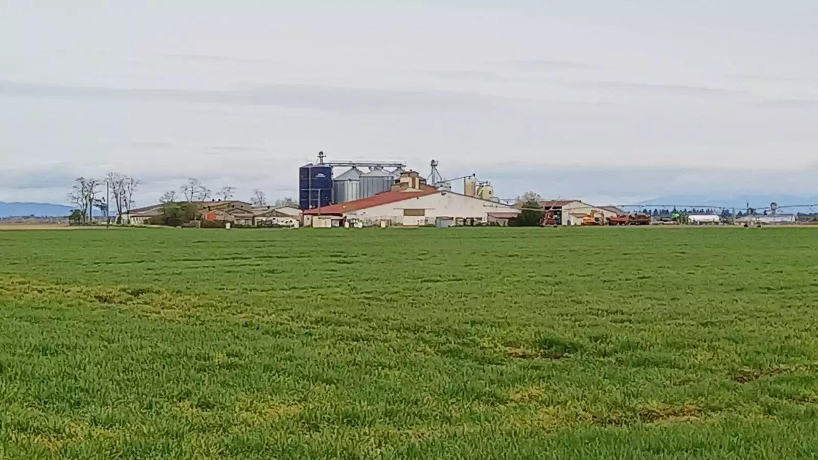 Vue extérieure de l'élevage EARL de Meyenheim, au milieu d'une prairie verte