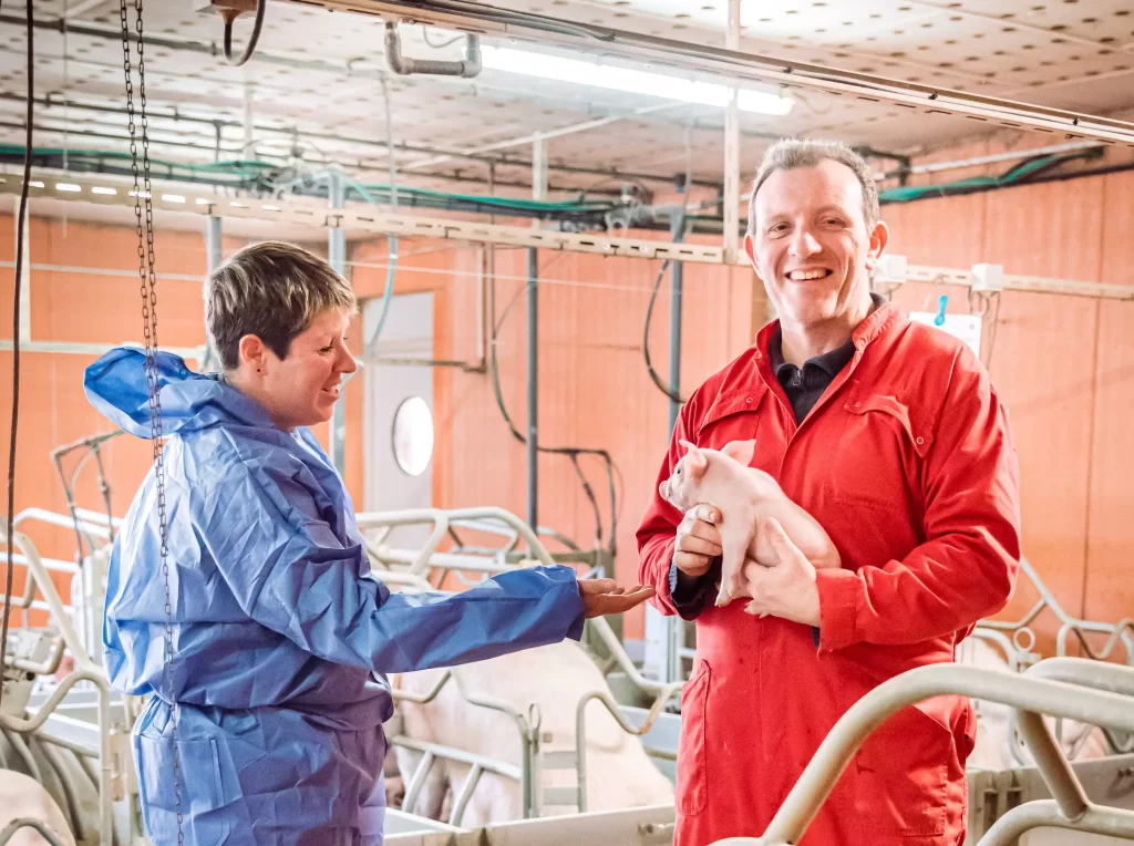 Equipe de l'Earl Simonin Verdanel avec un porcelet, en maternité