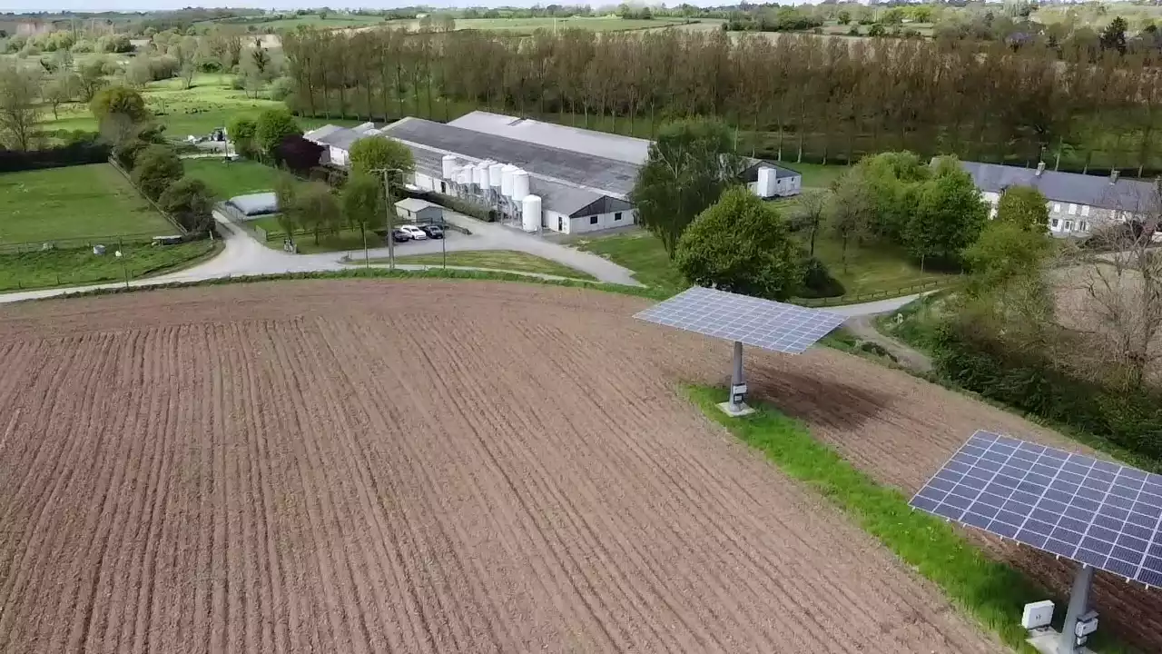 Vue aérienne de la SCEA élevage du Guigeois, avec 20 ans d'activité en dépeuplement-repeuplement.